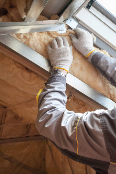 Best Spray Foam Insulation  in Silverthorne, CO